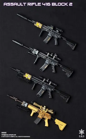 Assault Rifle 416 Block 2