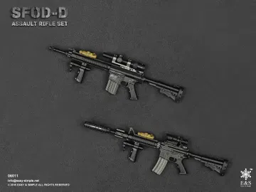 SFOD-D Assault Rifle Set