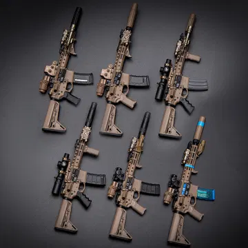NSWDG ASSAULT RIFLE CHRONOLOGY PART II N4 SET