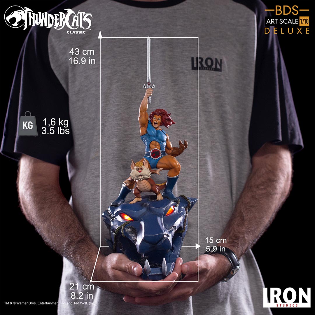 Lion-O - Thundercats - Bds image 4