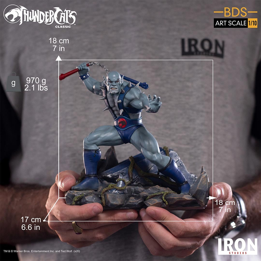 Panthro - Thundercats - Bds image 6