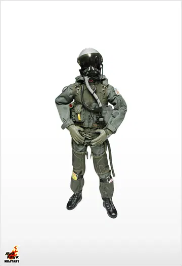 F-22 Raptor Pilot