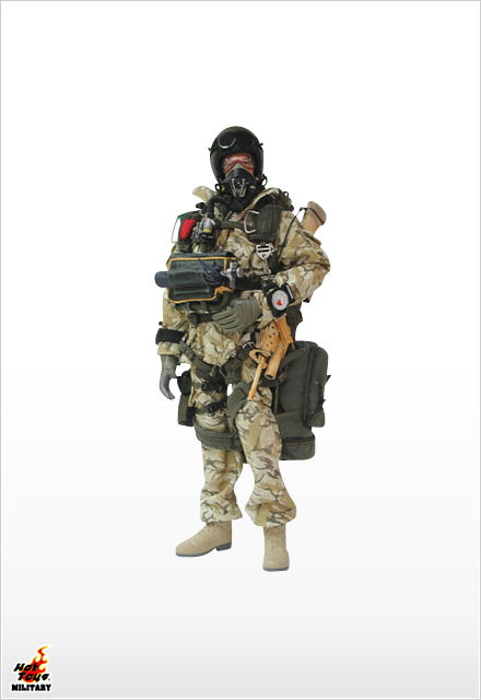 S.A.S. HALO Desert Operations image 1