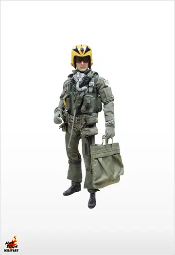 F-14 Tomcat Pilot