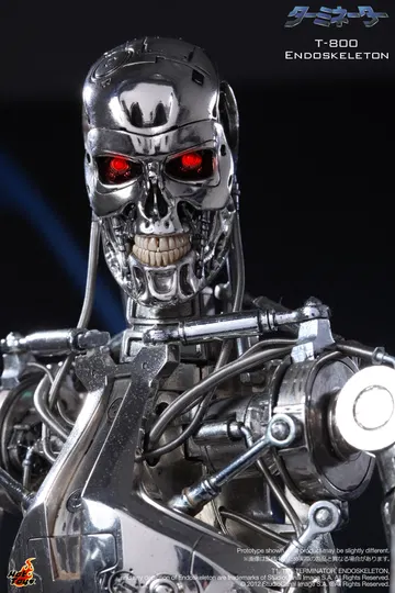 The Terminator - T-800 Endoskeleton