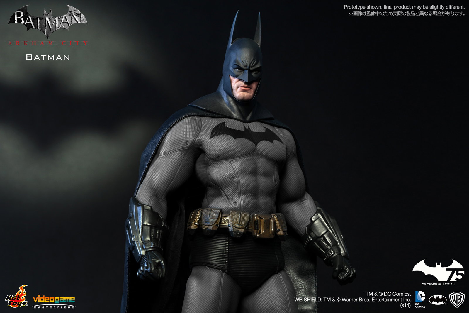 Batman Arkham City - Batman image 10