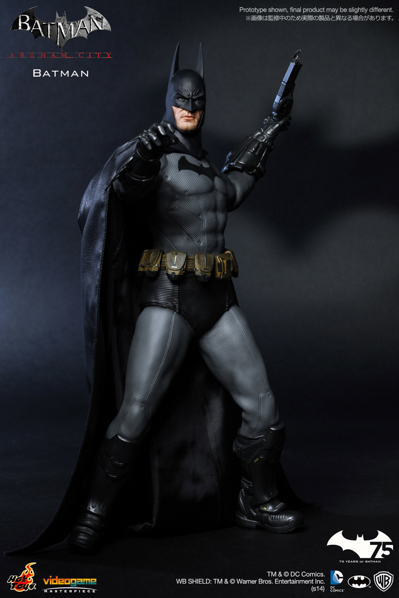 Batman Arkham City - Batman image 2