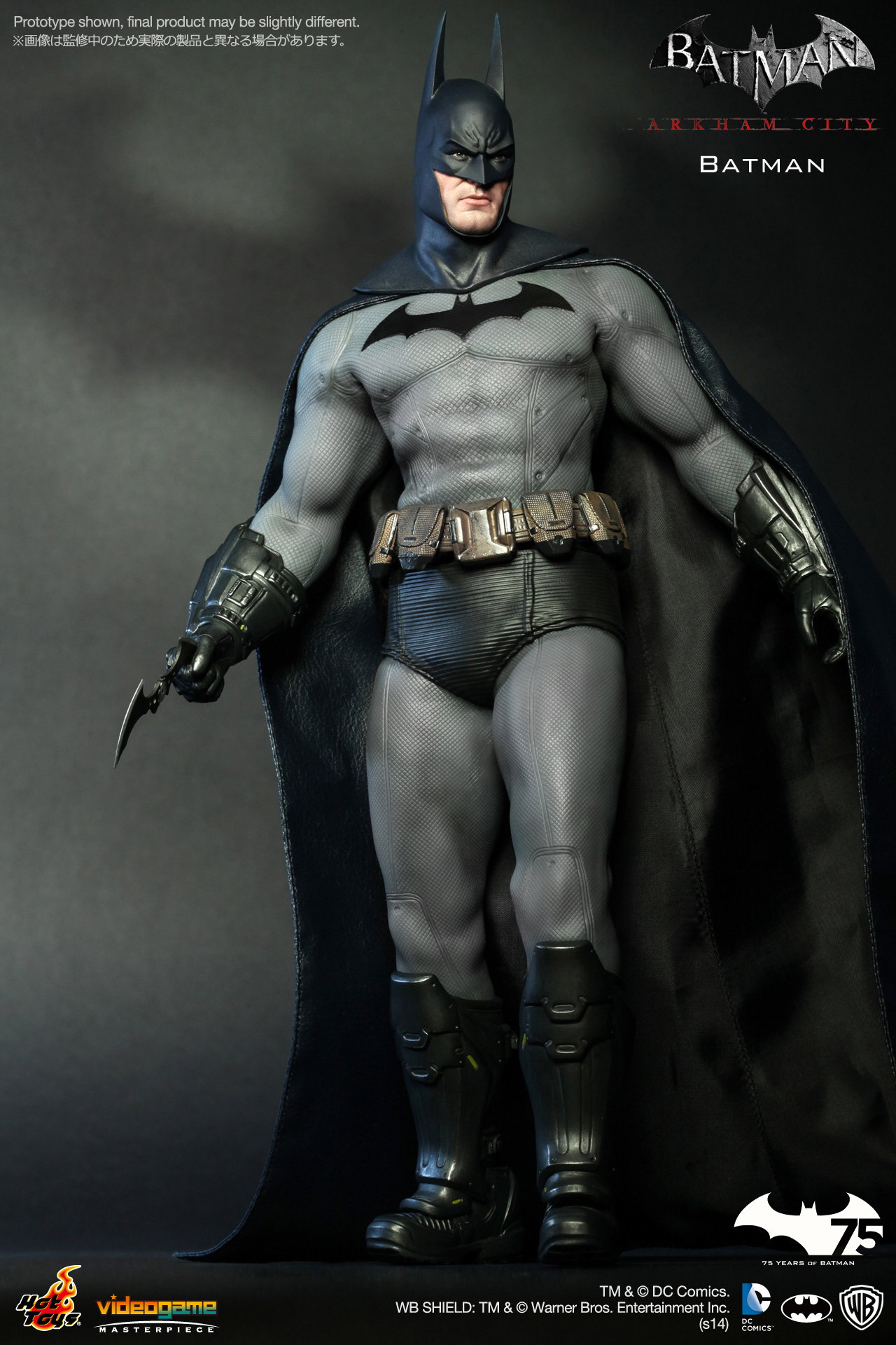 Batman Arkham City - Batman image 3