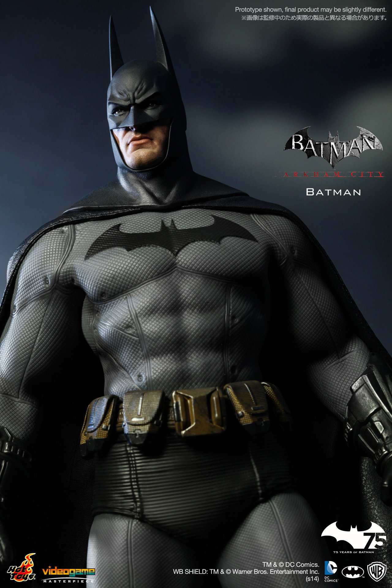 Batman Arkham City - Batman image 5