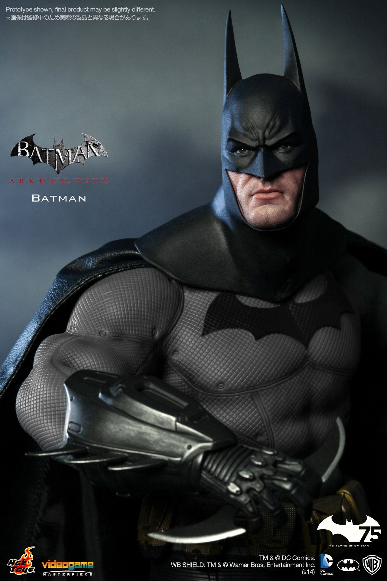 Batman Arkham City - Batman image 6