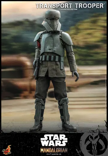 The Mandalorian - Transport Trooper