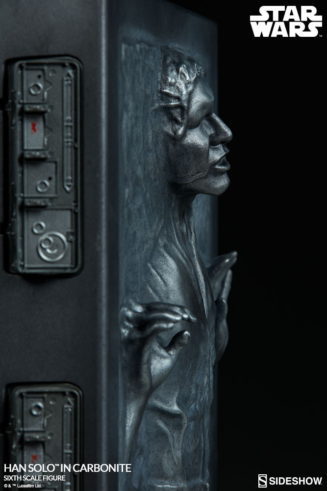 Han Solo in Carbonite image 10