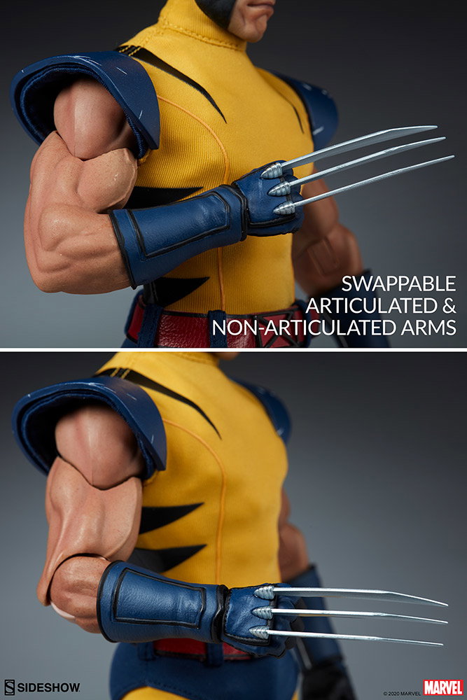 Wolverine image 10