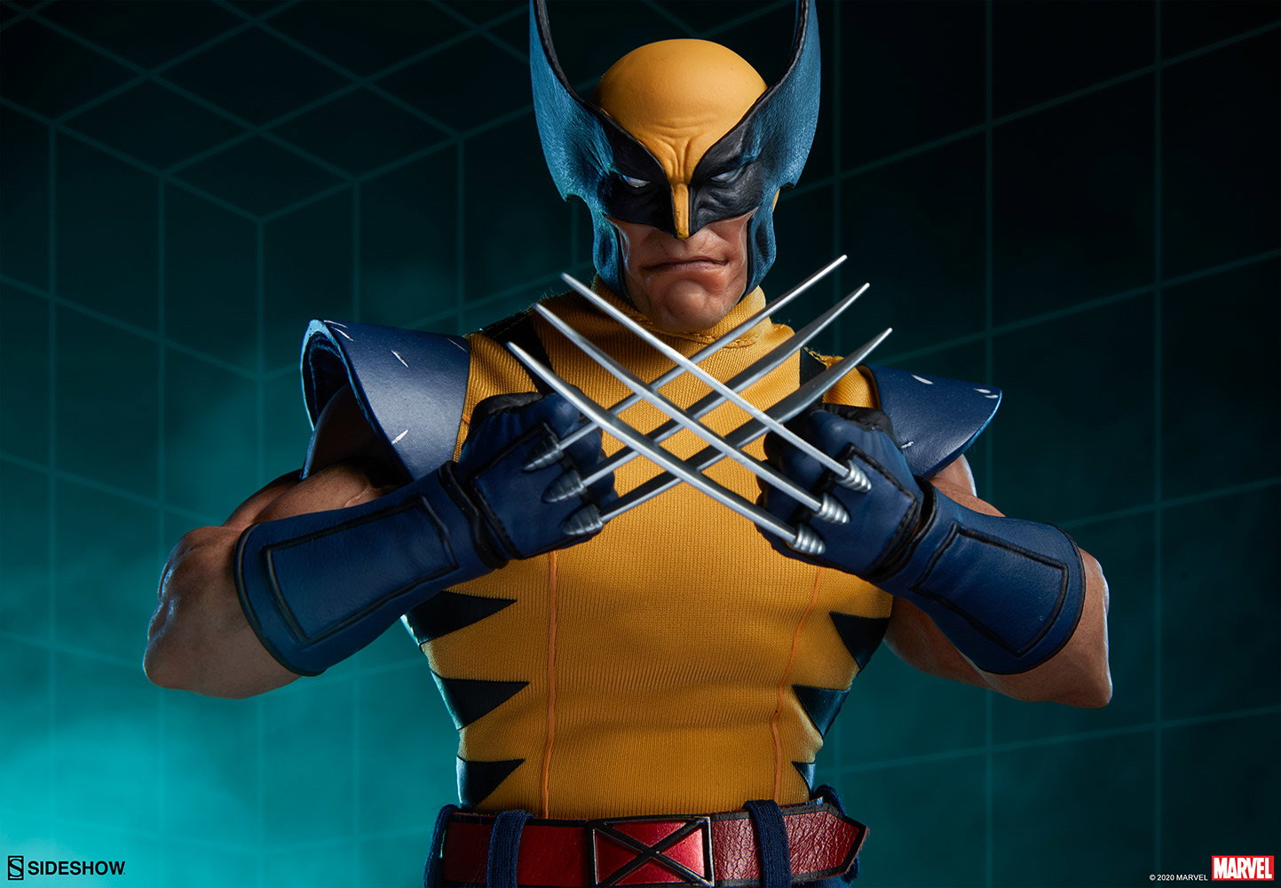 Wolverine image 2