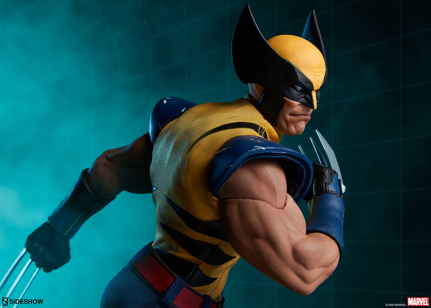 Wolverine image 3