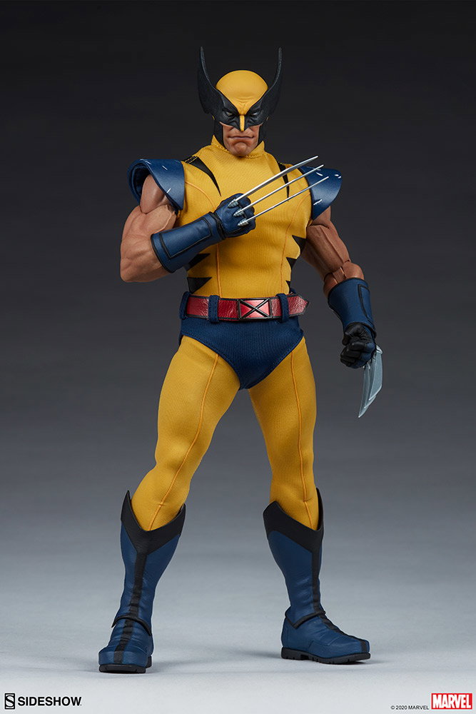 Wolverine image 4