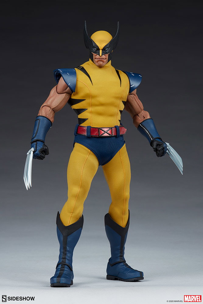 Wolverine image 5
