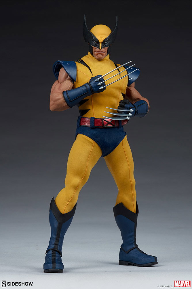 Wolverine image 6