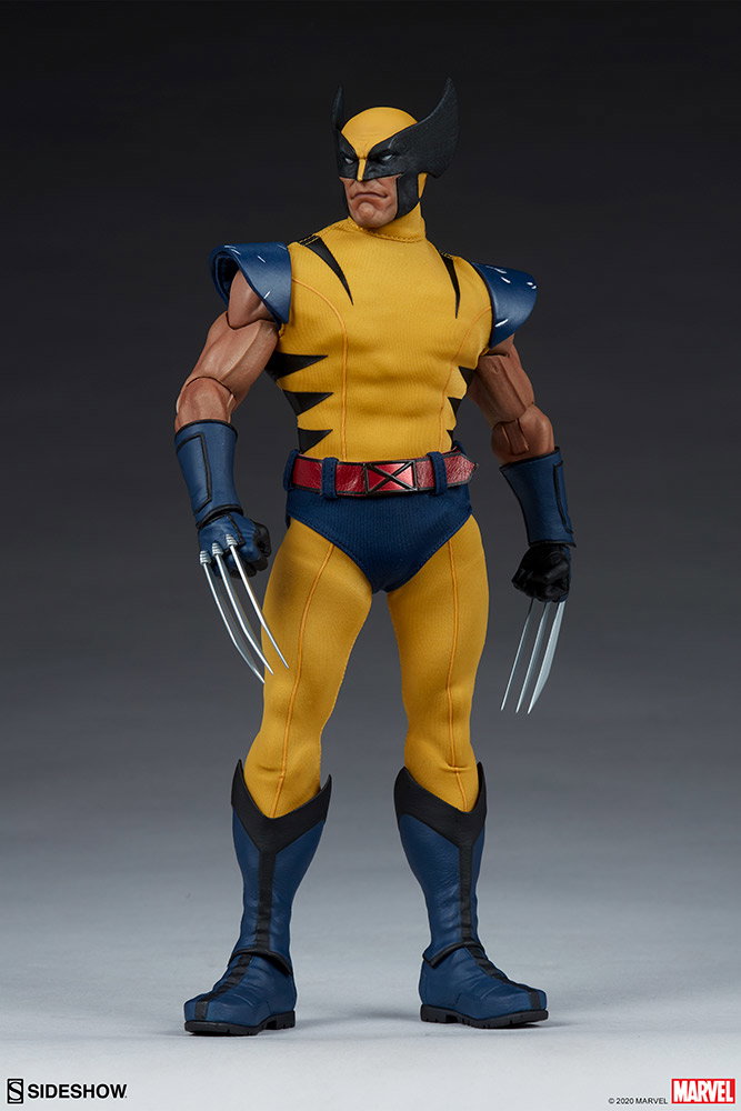 Wolverine image 7