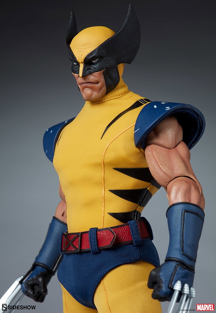 Wolverine image 8