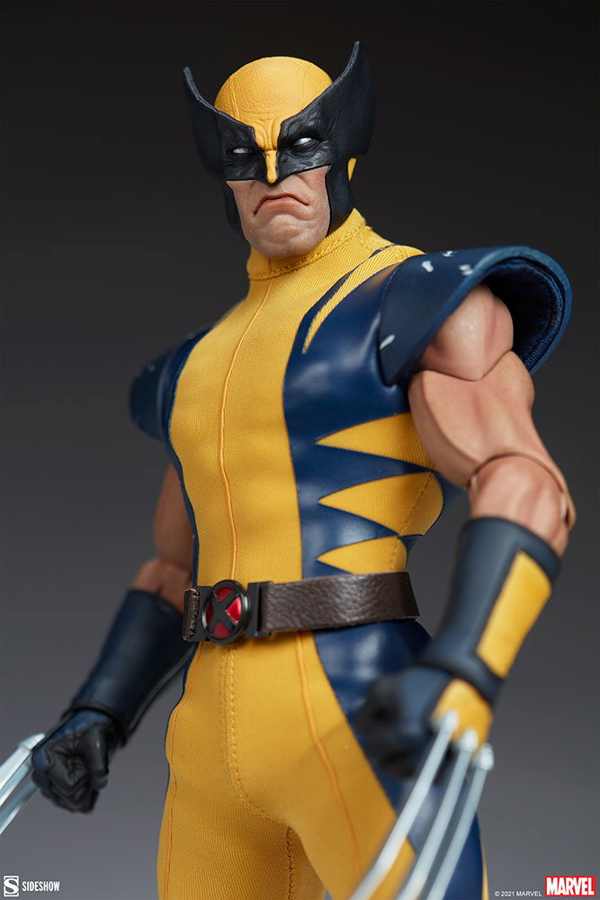 Wolverine (Astonishing Version) image 10