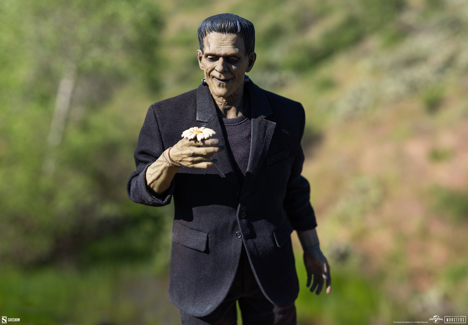 Frankenstein (Deluxe Edition) image 5