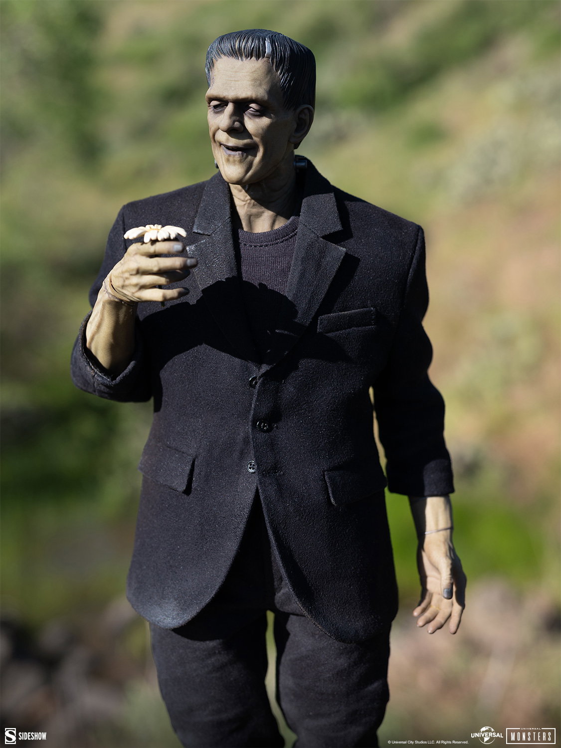 Frankenstein (Deluxe Plus Edition) image 9