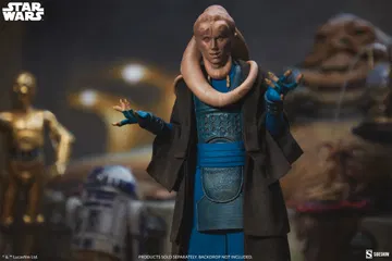 Bib Fortuna