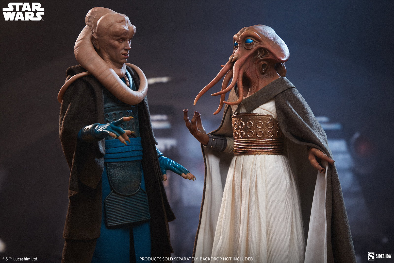 Bib Fortuna image 6