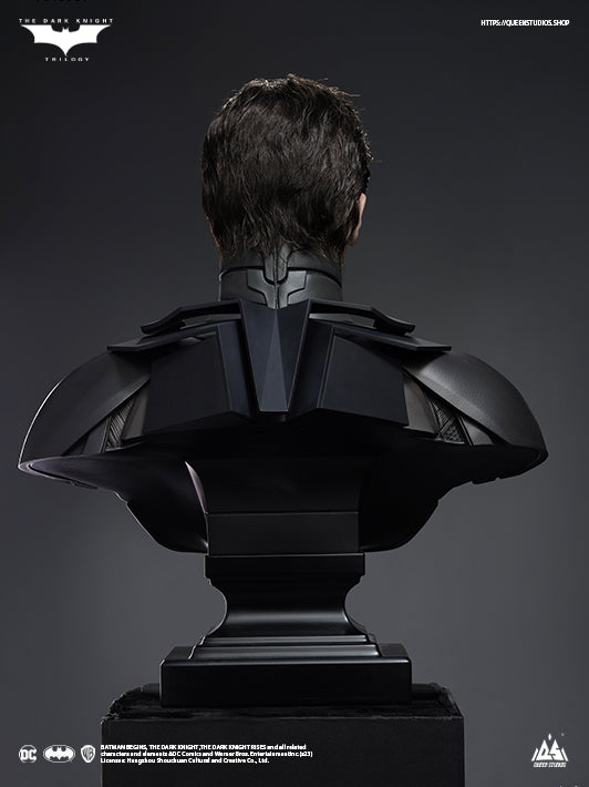 The Dark Knight Batman image 10