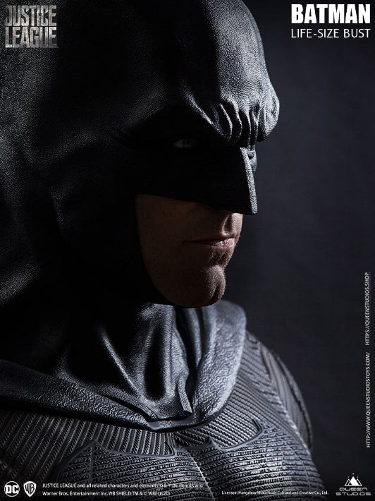 Batman Justice League image 2