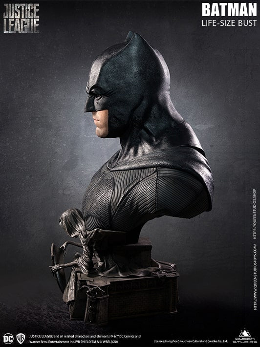 Batman Justice League image 5