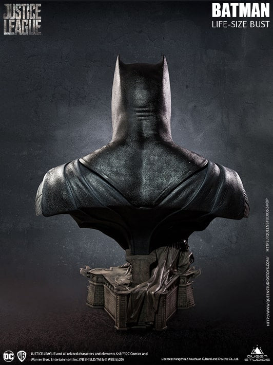 Batman Justice League image 6
