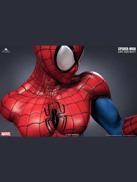 Comic Spider-Man by image 6