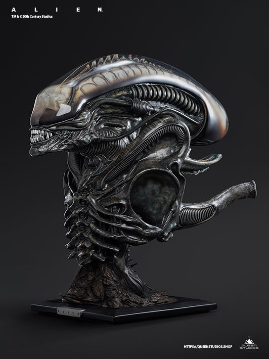 Alien image 9