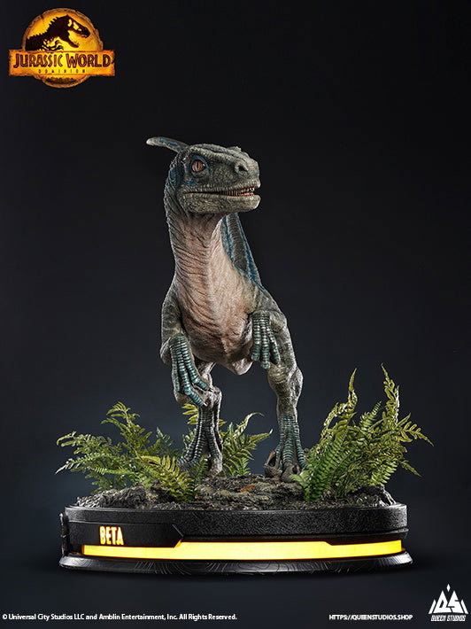 Beta image 10