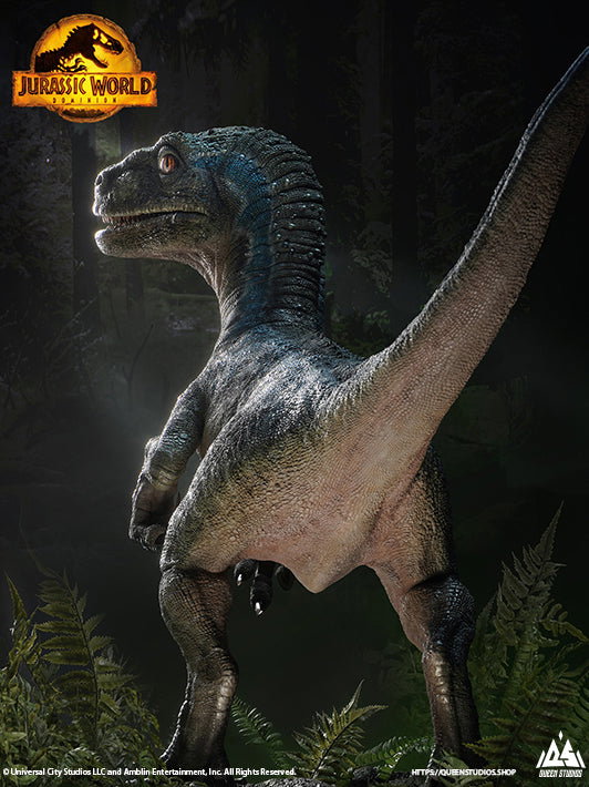 Beta image 3