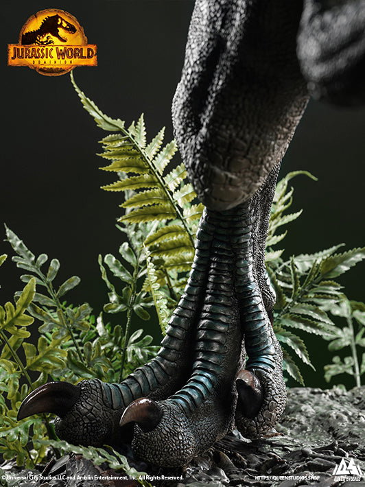Beta image 6