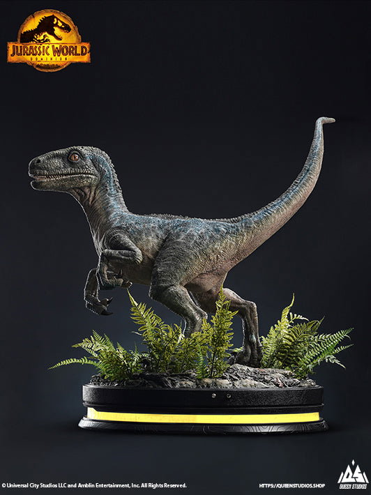 Beta image 8
