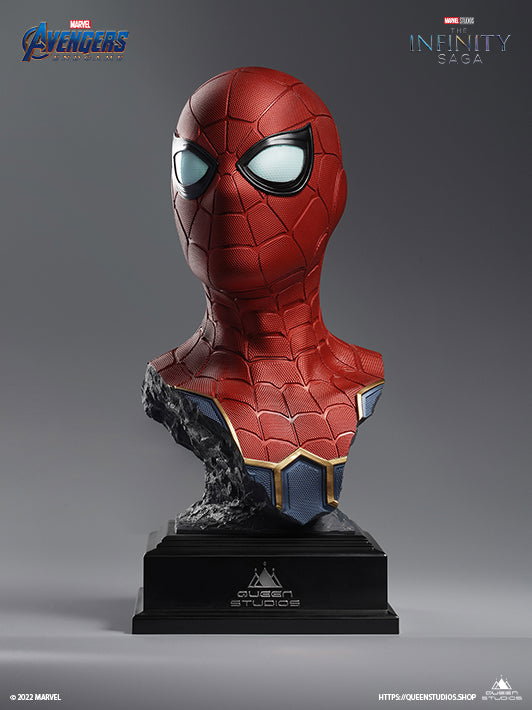 Iron Spider-Man Standard Edition image 5