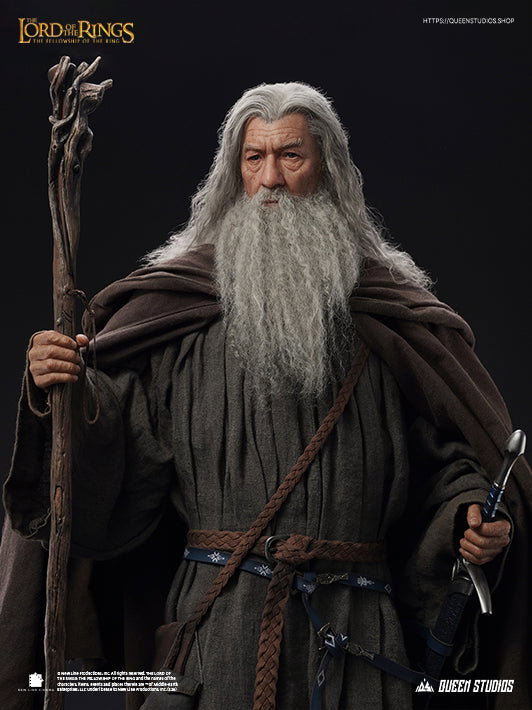 The Lord of the Rings: The Fellowship of the Ring - Gandalf image 10
