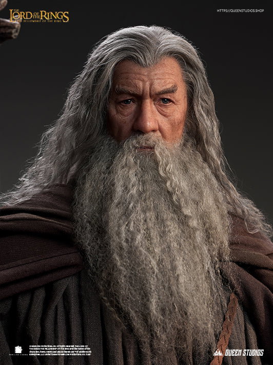 The Lord of the Rings: The Fellowship of the Ring - Gandalf image 2