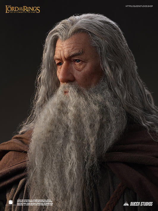 The Lord of the Rings: The Fellowship of the Ring - Gandalf image 3