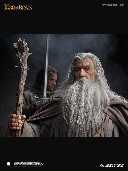 The Lord of the Rings: The Fellowship of the Ring - Gandalf image 5