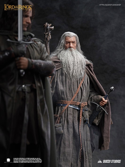 The Lord of the Rings: The Fellowship of the Ring - Gandalf image 6