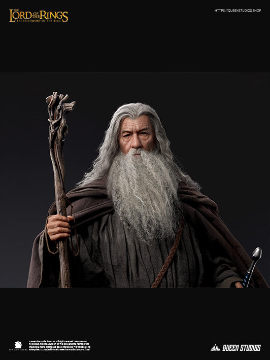 The Lord of the Rings: The Fellowship of the Ring - Gandalf image 8