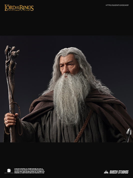 The Lord of the Rings: The Fellowship of the Ring - Gandalf image 9