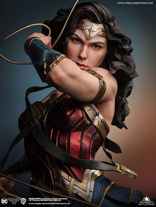 DC Comics Wonder Woman image 2