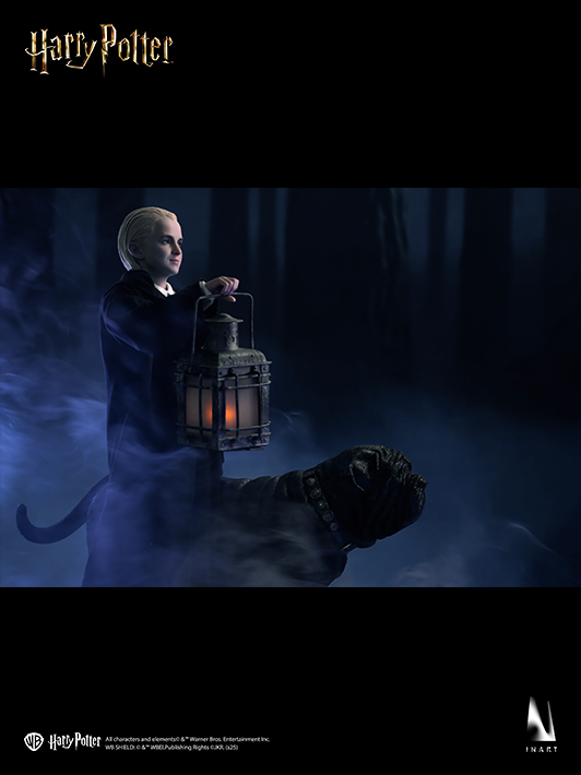 Draco Malfoy - Standard & Deluxe Version image 9