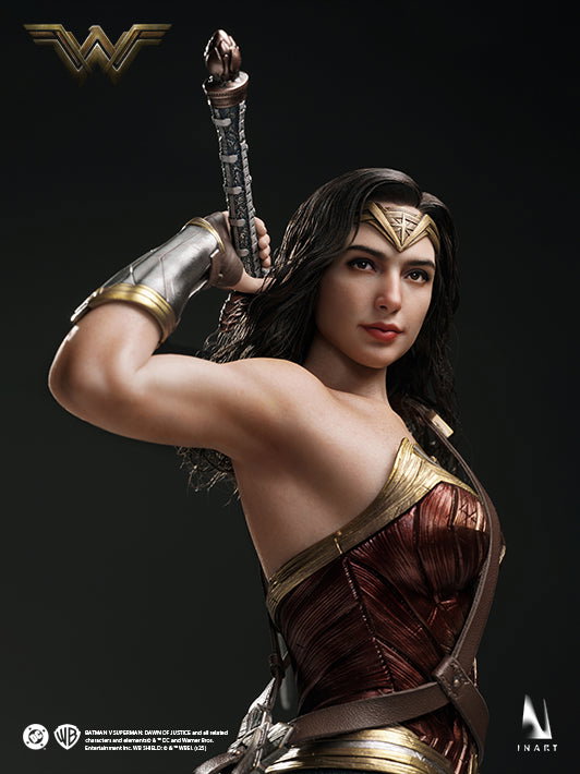 BvS Wonder Woman image 8